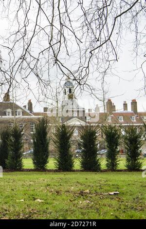 Allgemeine Ansicht der Rückseite des Kensington Palace, London, zeigt eine neue Hecke gepflanzt, um die Privatsphäre vor dem geplanten Umzug des Herzogs und Herzogin von Cambridge in den Palast zu erhöhen. Bilddatum: Montag, 30. Januar 2016. Bildnachweis sollte lauten: Matt Crossick/ EMPICS Entertainment. Stockfoto