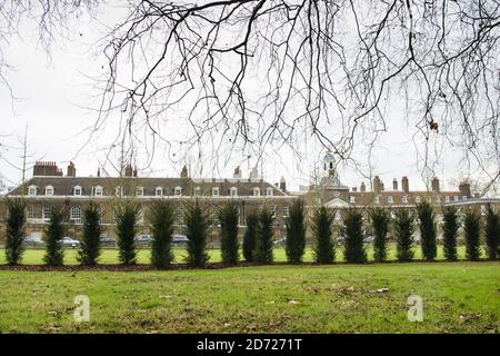 Allgemeine Ansicht der Rückseite des Kensington Palace, London, zeigt eine neue Hecke gepflanzt, um die Privatsphäre vor dem geplanten Umzug des Herzogs und Herzogin von Cambridge in den Palast zu erhöhen. Bilddatum: Montag, 30. Januar 2016. Bildnachweis sollte lauten: Matt Crossick/ EMPICS Entertainment. Stockfoto