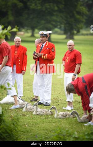 Queens Royal Swan Marker David Barber bei der Arbeit als Schwanenhals Tag und Rekord Schwäne entlang der Themse, zwischen Marlow und Henley in Buckinghamshire, England. Swan Upping ist eine uralte Tradition, nach der das Eigentum an Schwanen zwischen der Krone, der Winzerngesellschaft und der Dyers' Company aufgeteilt wird. Bilddatum: Mittwoch, 19. Juli 2017. Bildnachweis sollte lauten: Matt Crossick/ EMPICS Entertainment. Stockfoto