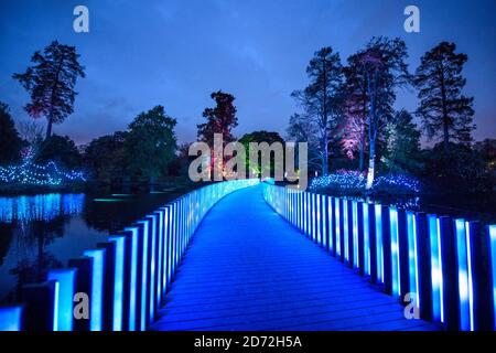 Allgemeiner Blick auf Kew Gardens in West London, zum Weihnachtsstart in Kew - ein Spaziergang nach Einbruch der Dunkelheit mit Licht- und Klanginstallationen. Bilddatum: Dienstag, 21. November 2017. Bildnachweis sollte lauten: Matt Crossick/ EMPICS Entertainment. Stockfoto