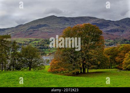 See Coniston durch die Bäume im Herbst Stockfoto