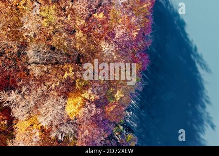 Laub und Buschbuche Wald in der Nähe von See, Apenninen, Italien Stockfoto