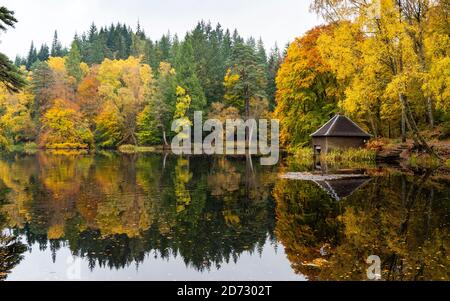 Pitlochry, Schottland, Großbritannien. 20. Oktober 2020. Herbstfarben am Loch Dunmore in Faskally Wood bei Pitlochry in Perthshire. Iain Masterton/Alamy Live News Stockfoto