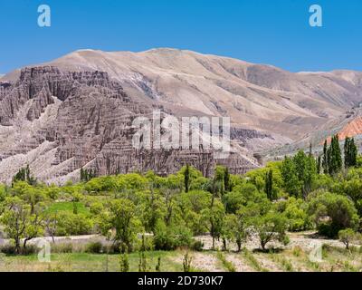 Tal des Flusses Rio Pumamarca, ein Nebenfluss zur Quebrada de Humahuaca. Südamerika, Argentinien, November Stockfoto