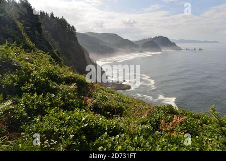 Blick auf den Pazifik vom Ecola State Park, Oregon Coast, Pacific Northwest, USA. Stockfoto