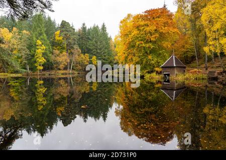 Pitlochry, Schottland, Großbritannien. 20. Oktober 2020. Herbstfarben am Loch Dunmore in Faskally Wood bei Pitlochry in Perthshire. Iain Masterton/Alamy Live News Stockfoto