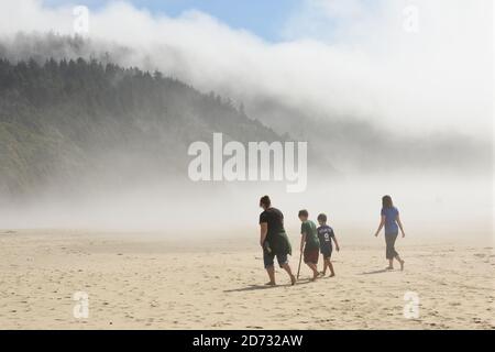 Cape Lookout State Park, Oregon, USA; Pazifischer Ozean. Stockfoto