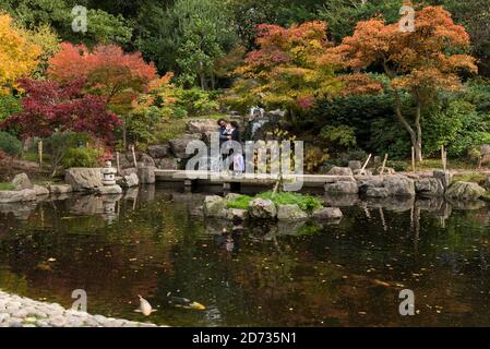 London, Großbritannien. 20. Oktober 2020. UK Wetter - Besucher genießen die herbstliche Ausstellung von wechselnden Blättern im japanischen Kyoto Garten im Holland Park, während bunte Koi Karpfen im Ziersee schwimmen. Es wird erwartet, dass in den nächsten Tagen ein heftiger Regen über weite Teilen Großbritanniens eintreffen wird. Kredit: Stephen Chung / Alamy Live Nachrichten Stockfoto