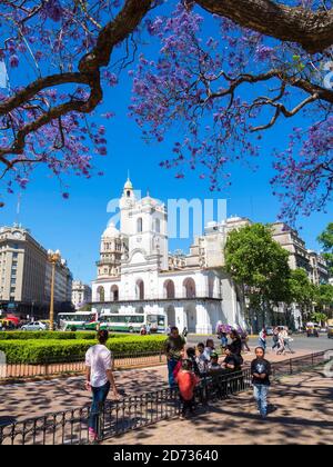 Plaza de Mayo und Museo Historico del Cabildo y la Revolucion de Mayo. Buenos Aires, die Hauptstadt Argentiniens. Südamerika, Argentinien, Buenos Ai Stockfoto