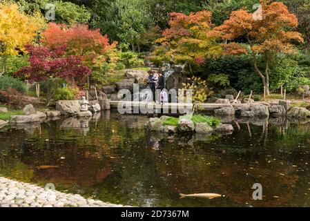 London, Großbritannien. 20. Oktober 2020. UK Wetter - Besucher genießen die herbstliche Ausstellung von wechselnden Blättern im japanischen Kyoto Garten im Holland Park, während bunte Koi Karpfen im Ziersee schwimmen. Es wird erwartet, dass in den nächsten Tagen ein heftiger Regen über weite Teilen Großbritanniens eintreffen wird. Kredit: Stephen Chung / Alamy Live Nachrichten Stockfoto