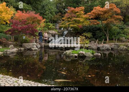 London, Großbritannien. 20. Oktober 2020. UK Wetter - Besucher genießen die herbstliche Ausstellung von wechselnden Blättern im japanischen Kyoto Garten im Holland Park, während bunte Koi Karpfen im Ziersee schwimmen. Es wird erwartet, dass in den nächsten Tagen ein heftiger Regen über weite Teilen Großbritanniens eintreffen wird. Kredit: Stephen Chung / Alamy Live Nachrichten Stockfoto