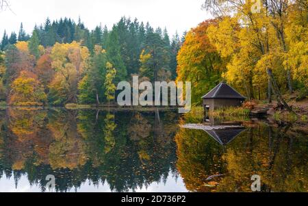 Pitlochry, Schottland, Großbritannien. 20. Oktober 2020. Herbstfarben am Loch Dunmore in Faskally Wood bei Pitlochry in Perthshire. Iain Masterton/Alamy Live News Stockfoto