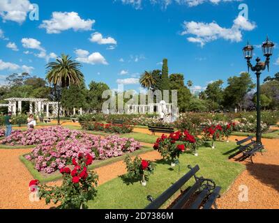 Park Bosques de Palermo im Viertel Palermo, der Rosengarten (El Rosedal de Palermo). Buenos Aires, die Hauptstadt Argentiniens. Südamerika, Argentinien Stockfoto