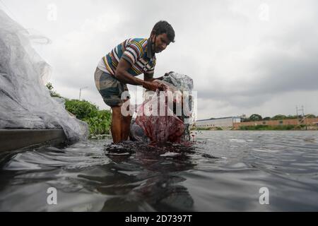 Ein Mann aus Bangladesch wäscht Plastikmüll, der zum Transport von Chemikalien verwendet wurde, im Wasser des Turag-Flusses, bevor er ihn recycelt, in Tongi, in der Nähe von Dhaka, Stockfoto