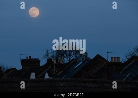 Ein rosafarbener Supermond erhebt sich über den Häusern im Norden Londons. Ein Supermond erscheint heller und größer als normal, da seine Umlaufbahn ihn näher als gewöhnlich zur Erde bringt. Bilddatum: Dienstag, 7. April 2020. Bildnachweis sollte lauten: Matt Crossick/Empics Stockfoto