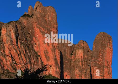 Der majestätische Mallos de Riglos, ein spektakuläres natürliches Tor zu den Pyrenäen, leuchtet in der Abendsonne in der Provinz Huesca, Aragon, Spanien, leuchtend orange-rot. Los Mallos (die Mallets) entstand vor mindestens 20 Millionen Jahren, als Material von den Pyrenäenhängen mit Kalkstein verdichtet wurde, um Konglomeratgestein zu bilden. Die markanten ‘m, durch Erosion geformten „Allets“ bilden eine physische Grenze zwischen den Vorgebirgen der Pyrenäen und dem Ebro-Becken, die auf etwa 300 m (980 ft) ansteigt. Im 11. Jahrhundert war die Gegend um Mallos kurz ein unabhängiges Königreich, nachdem Pedro, König von Aragon, es als Mitgift gab. Stockfoto