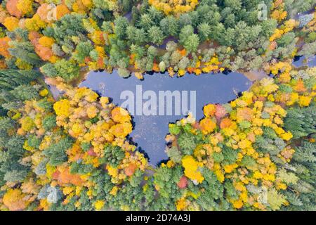 Pitlochry, Schottland, Großbritannien. 20. Oktober 2020. Herbstfarben am Loch Dunmore in Faskally Wood bei Pitlochry in Perthshire. Luftaufnahme von Loch Dunmore umgeben von Bäumen mit Herbstlaub. Iain Masterton/Alamy Live News Stockfoto