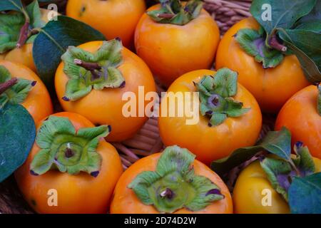 Kaki-Birnen (Diospyros) in einem Weidenkorb Stockfoto