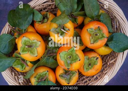 Kaki-Birnen (Diospyros) in einem Weidenkorb Stockfoto