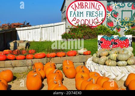 Farm frische Produkte an der Santa Cruz Küste Stockfoto