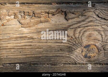 Rustikales und verwittertes Holz im Freien mit grobkörniger Textur und ein Großer Knoten und ein gefallenes Blatt für Hintergründe flat-lays und Speicherplatz kopieren Stockfoto