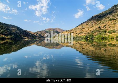 Fluss Douro fließt im Norden Portugals. Douro Region. Stockfoto