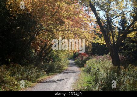 Herbstwetter in Ontario Stockfoto