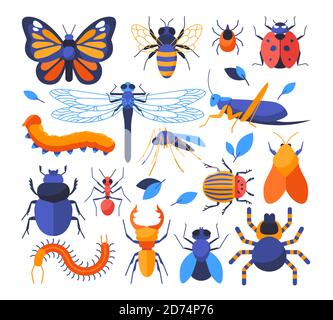Insects Collection - Set von flachen Design-Stil Elemente auf weißem Hintergrund. Bunte Magier von Marienkäfer, Schmetterling, Ameise, Libelle, Biene, Heuschrecke, ca. Stock Vektor