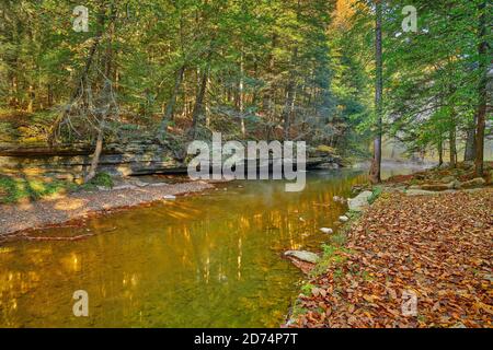 War Creek neben dem Turkey Foot Campground im Daniel Boone National Forest in der Nähe von McKee, KY. Stockfoto
