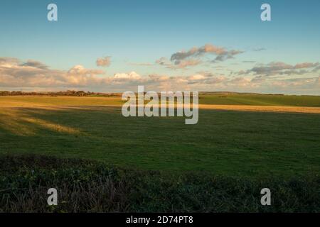 Blick über das Crowlink Estate in Richtung Friston (3) Stockfoto