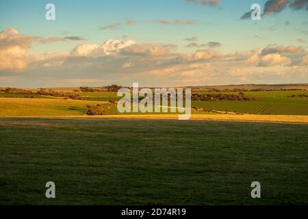 Blick über das Crowlink Estate in Richtung Friston (2) Stockfoto