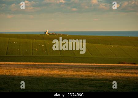 Blick auf den Leuchtturm Belle Tout über dem Crowlink Estate (8) Stockfoto