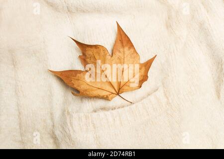 Ein trockenes Blatt auf einem weißen Wollpullover in einem Draufsicht Stockfoto