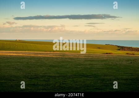 Blick auf den Leuchtturm von Belle Tout über das Crowlink Estate (6) Stockfoto