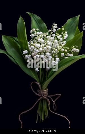 maiglöckchen Blumenstrauß auf schwarzem Hintergrund Stockfoto