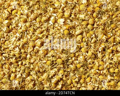 Getrocknete Kamille Teeblätter Hintergrund, flache Ansicht Stockfoto
