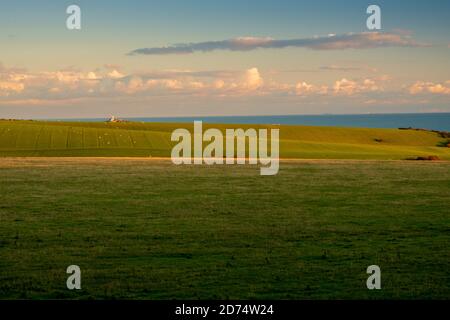 Blick auf den Leuchtturm von Belle Tout über das Crowlink Estate (5) Stockfoto