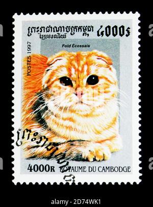 MOSKAU, RUSSLAND - 24. NOVEMBER 2017: Eine in Kambodscha gedruckte Briefmarke zeigt Scottish Fold (Felis silvestris catus), Domestic Cats Serie, um 1997 Stockfoto