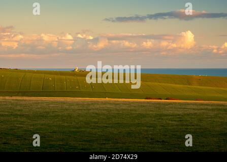 Blick auf den Leuchtturm von Belle Tout über das Crowlink Estate (3) Stockfoto