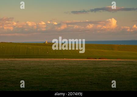 Blick auf den Leuchtturm Belle Tout über dem Crowlink Estate (2) Stockfoto