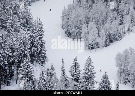 Skifahren in Deer Valley, Utah, in der Nähe von Salt Lake City während der Skisaison. Stockfoto