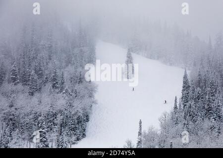 Skifahren im Deer Valley, Utah, in der Nähe von Salt Lake City im Winter. Stockfoto