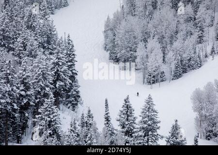 Skifahren in Deer Valley, Utah, in der Nähe von Salt Lake City während der Skisaison. Stockfoto