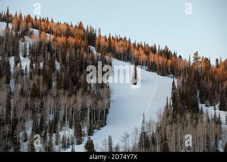 Sonnenaufgang auf den Skipisten von Deer Valley, in der Nähe von Salt Lake City, Utah. Stockfoto