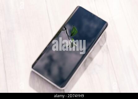 Grünes Blatt und Himmel Reflexion im Smartphone liegend auf weißem Holztisch. Grüne Energie und modernes Technologiekonzept. Speicherplatz kopieren. Draufsicht. Stockfoto