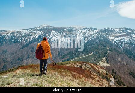 Gekleidet hell orange Jacke Backpacker Wandern durch Heidelbeer Feld mit Trekkingstöcken mit Bergkette Hintergrund, Slowakei. Aktive Menschen und die EU Stockfoto