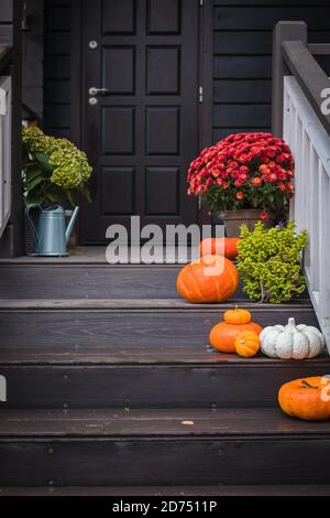 Kürbisse, bunte Topfblumen und Pflanzen vor der Haustür Stufen des Hauses, Herbstferien Dekoration Stockfoto