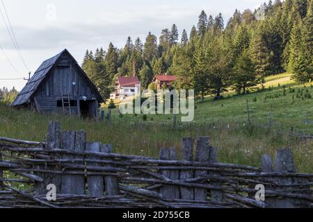 Eine alte Blockhütte am Berg, umgeben von Bäumen und Gras Im Tara Nationalpark in Serbien Stockfoto