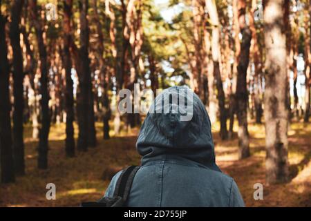 Tourist mit Rucksack und Kapuze im immergrünen Kiefernwald. Reisen, Ökotourismus, Ökologie, lokale Tourismus-Konzept, natürlichen Hintergrund, Explorer, Hoodie Stockfoto