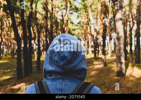 Tourist mit Rucksack und Kapuze im immergrünen Kiefernwald. Reisen, Ökotourismus, Ökologie, lokale Tourismus-Konzept, natürlichen Hintergrund, Explorer, Hoodie Stockfoto